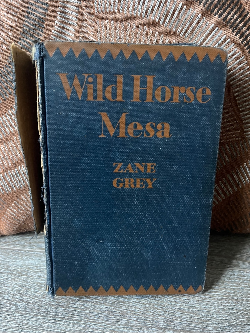 Wild Horse Mesa by Zane Grey 1924